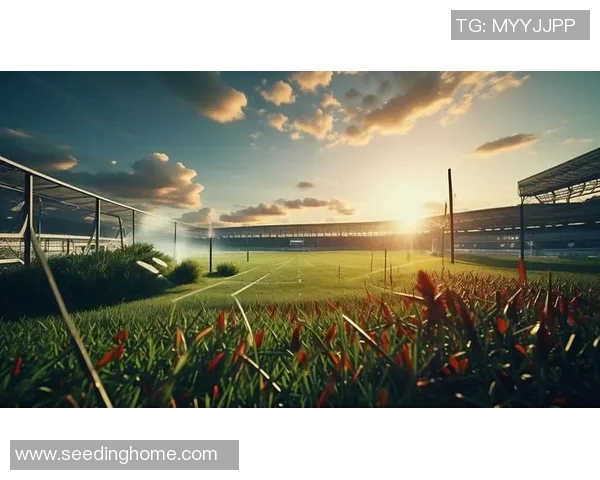 足球巨星风采尽显 高清壁纸集锦带你走进绿茵场的传奇世界