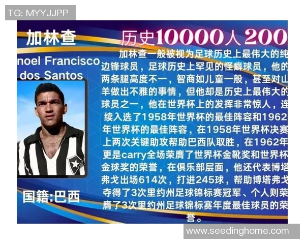 历史足球巨星排名解析 从贝利到梅西的时代传奇与荣耀